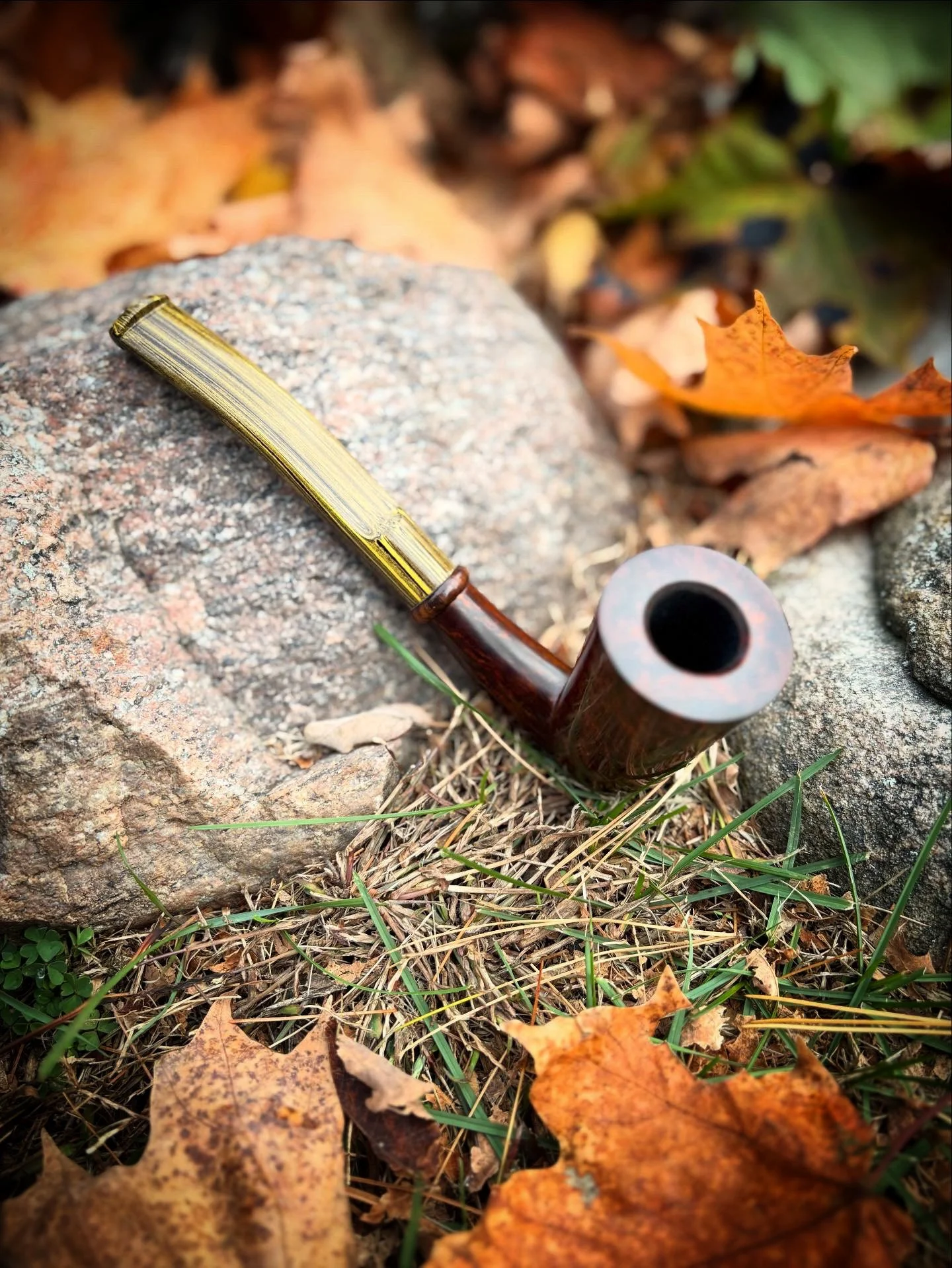 A Dublin chimney tobacco pipe resting on a large rock among fallen autumn leaves and grass.