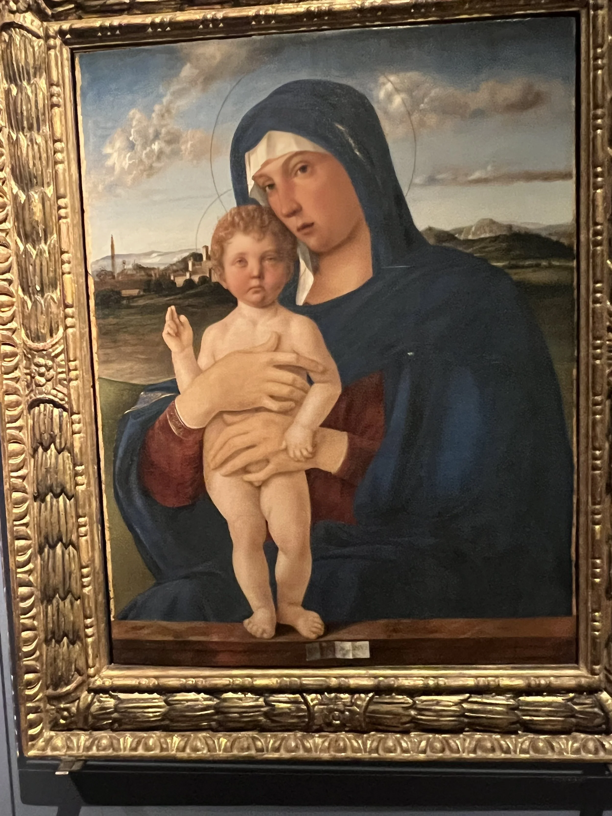 Contarini Madonna