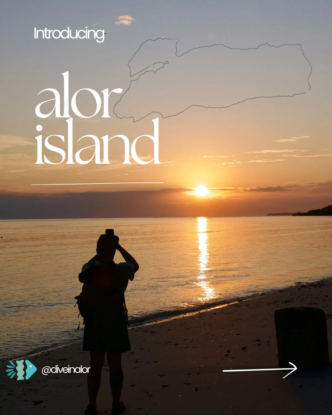 Introducing the first post of our Alor island&rsquo;s series - sharing the places we dive, above and below the surface 🌴

Save this post &amp; follow along for the next island 💙

#DiveInAlor #AlorIndonesia #DivingAlor #DivingIndonesia #Alor