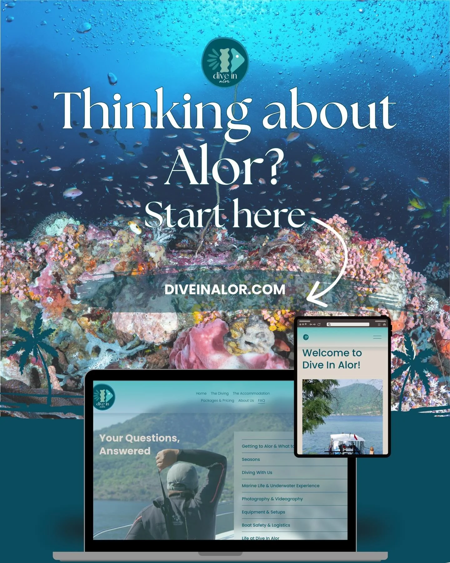 A little reminder that we&rsquo;ve put all the details in one place -
diving, rooms, packages, seasons, and answers to your questions, with an easy booking enquiry form.

Don&rsquo;t forget, we&rsquo;re offering a 10% early bird discount until 31 Jan