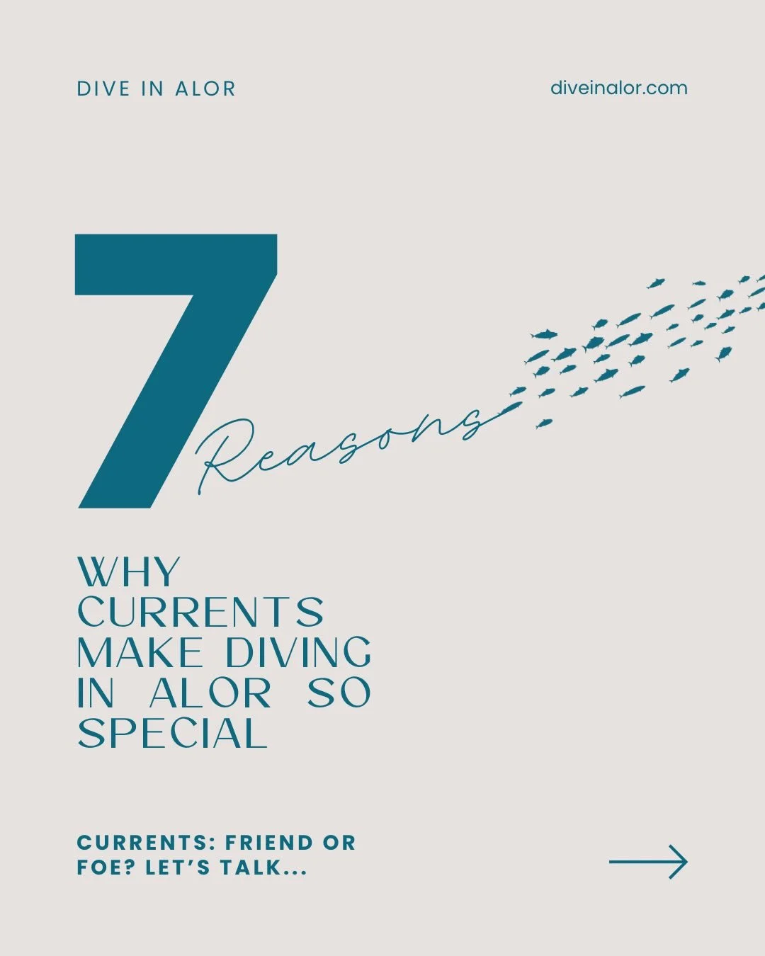 Currents have a bit of a reputation in the diving world 🌊

Some divers love them.
Some divers&hellip; love them slightly less.

But currents are actually one of the reasons Alor&rsquo;s reefs are so alive.

Moving water brings nutrients, supports he