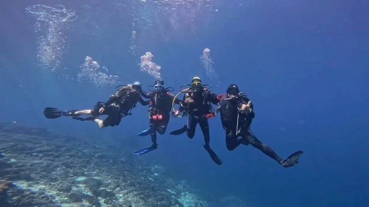 Just a small collection from the last few days 🤍
The kind of dives that stay with you and feel even better shared 🐠