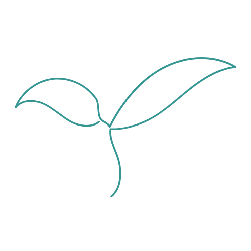 A simple line drawing of a three-leaf plant with curved stems and leaves.