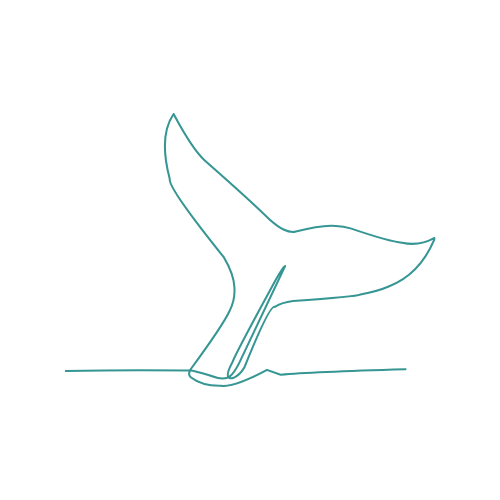 Outline diagram of a whale tail breaching the water surface.