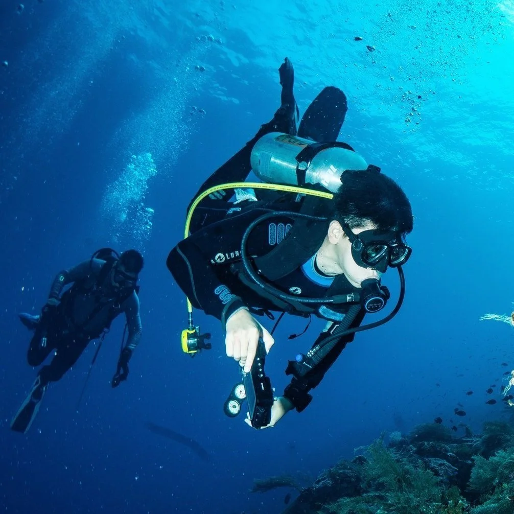 Two scuba divers exploring underwater coral reef.