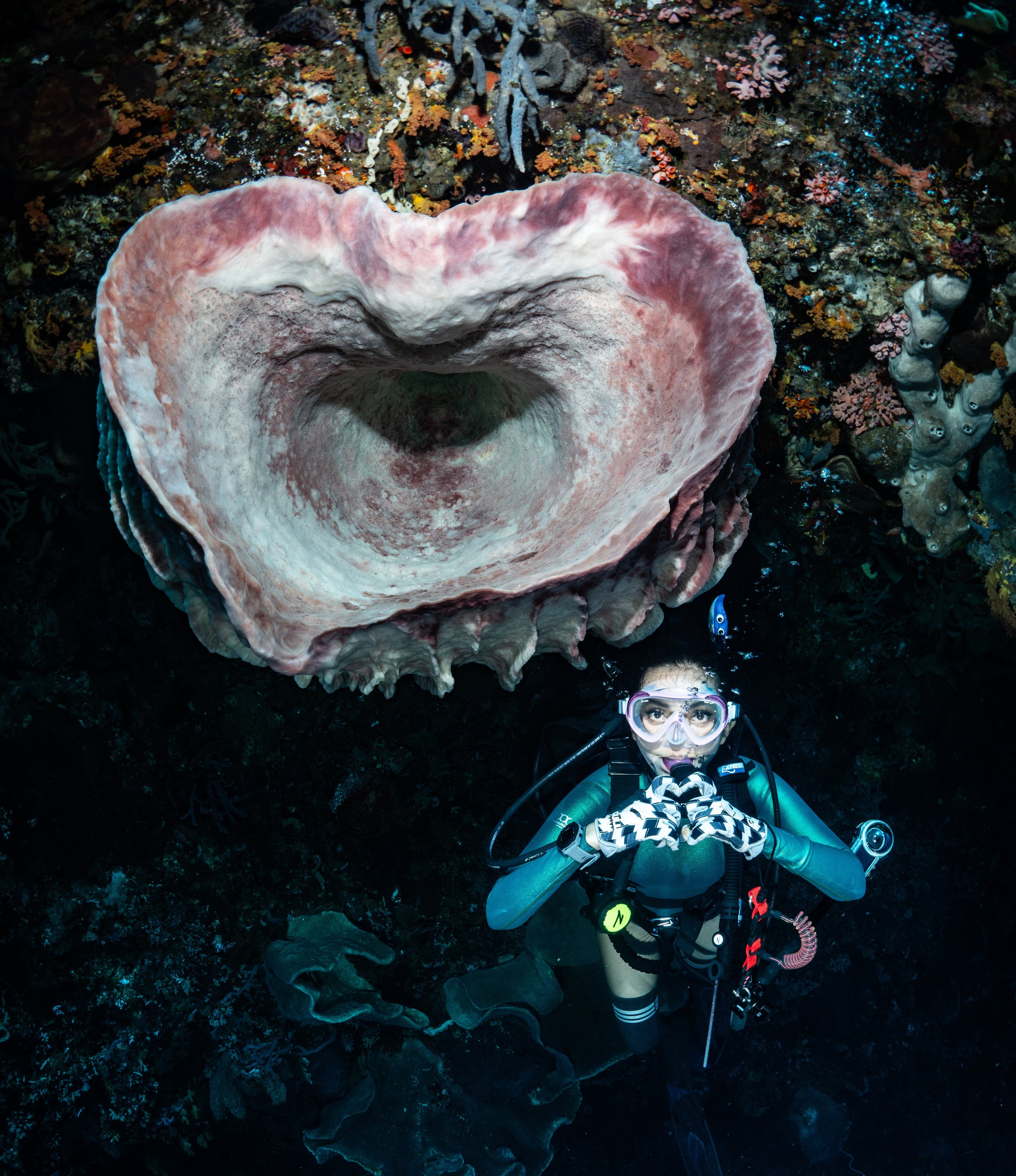 Coral Heart With Scuba Diver