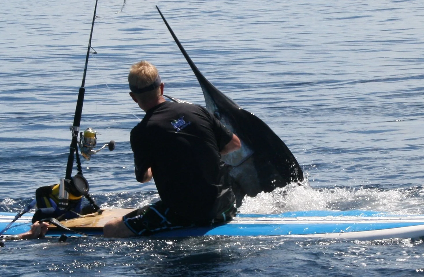 surf board marlin tight crop.jpg