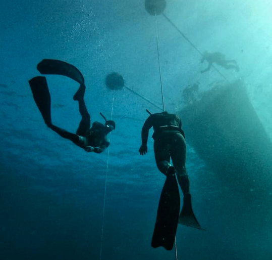 Darrell Bird (Dive Zone Whitianga)
