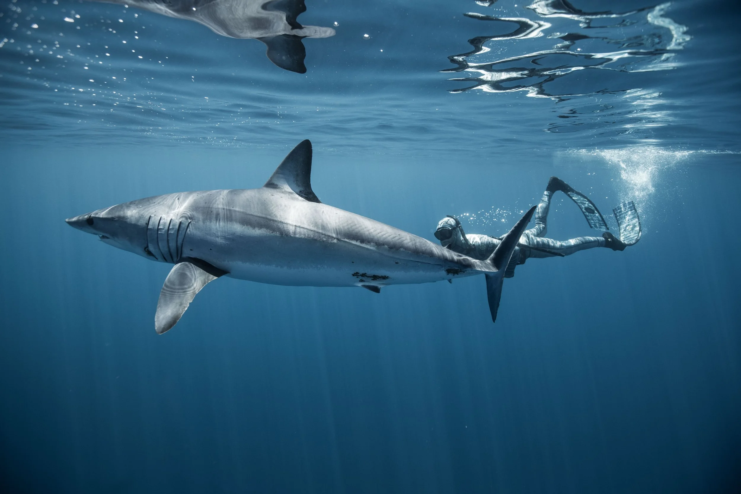 Riley with mako shark by Amber Jones.jpg