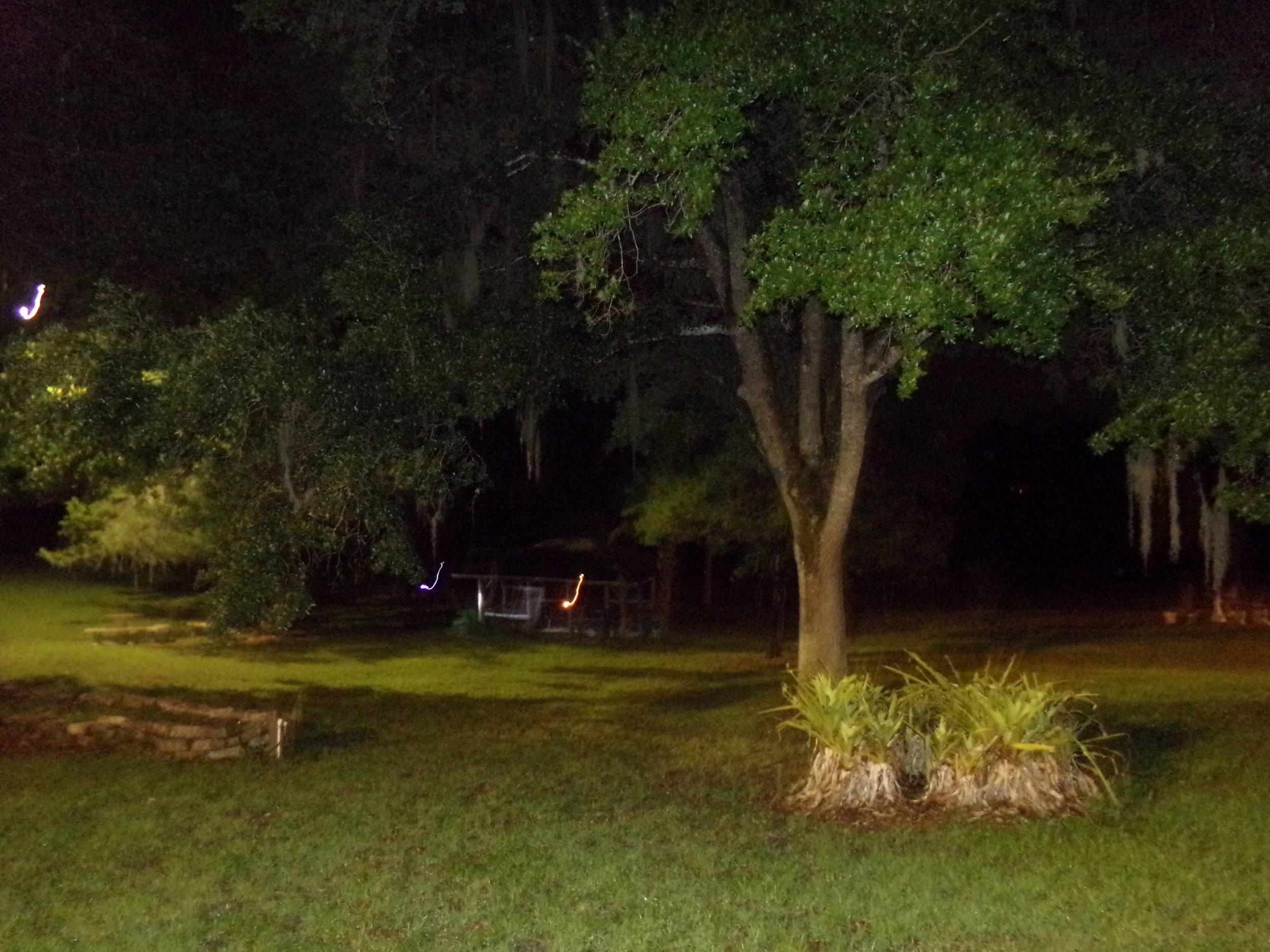 100_0429 copy_Original.jpeg