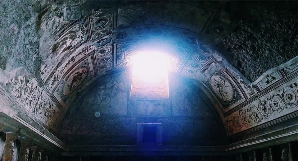 107374886_2647108935546018_2623424622335505549_n (1).jpg