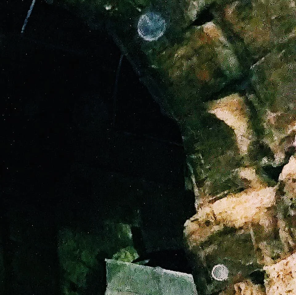 107666169_2647129412210637_6825873810212302357_n (1).jpg