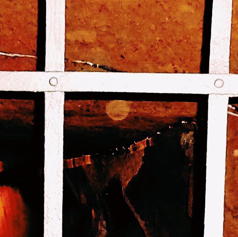 107800740_2647132655543646_6261580643376387885_n (1).jpg