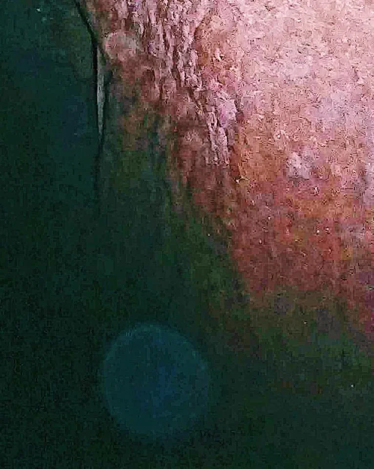 107693872_2647132595543652_851178288835518577_n (1).jpg