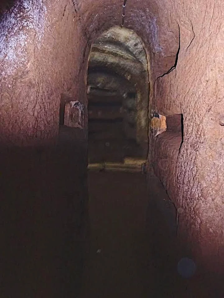 107686442_2647132458876999_1476125552162343283_n (1).jpg