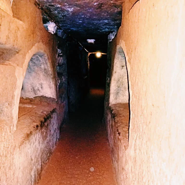 107957459_2647132685543643_6707438290218284028_n (1).jpg