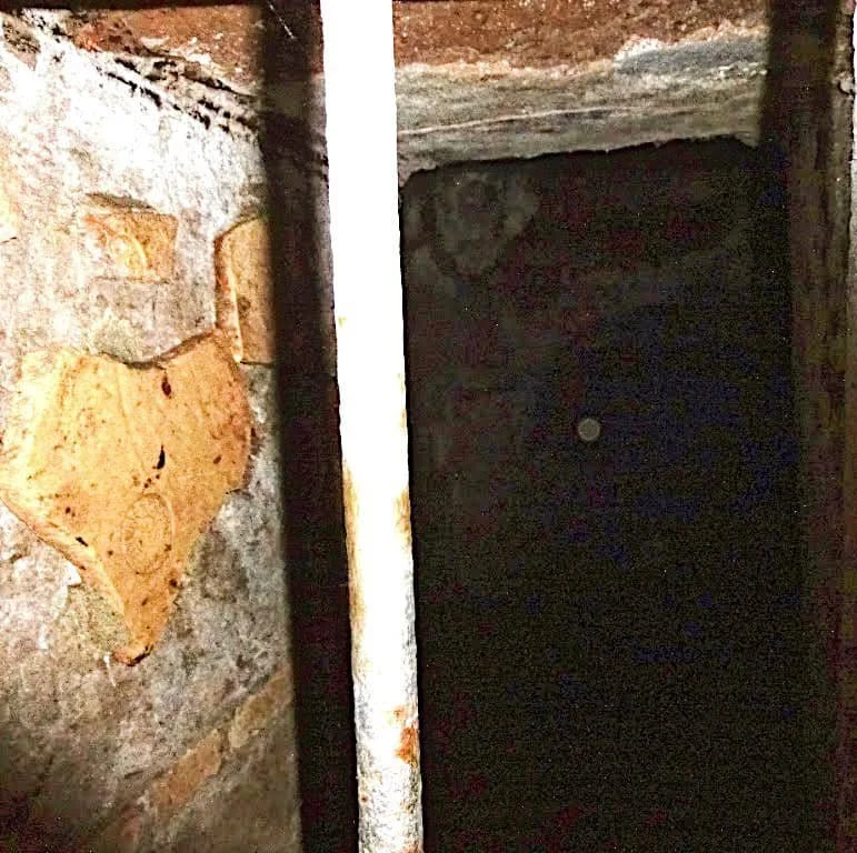 107675861_2647132505543661_7030608246102506683_n (1).jpg