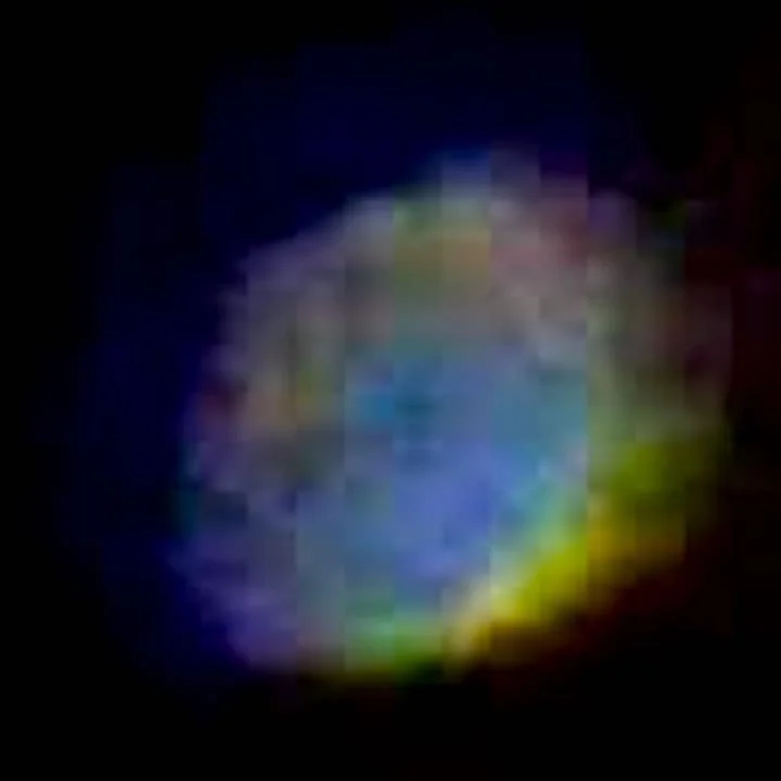 105594855_2638186649771580_8679314351240478247_n copy.jpg