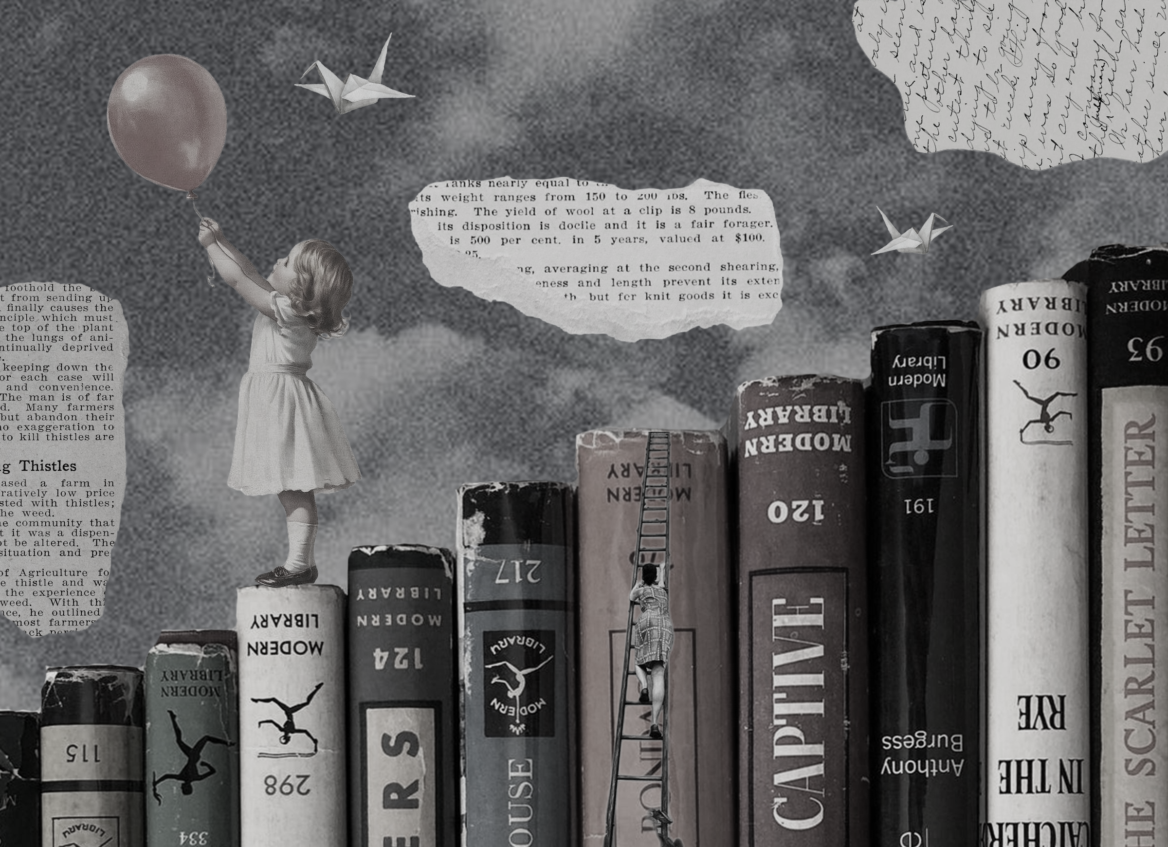 I Changed My Mind by Changing My Bookshelf