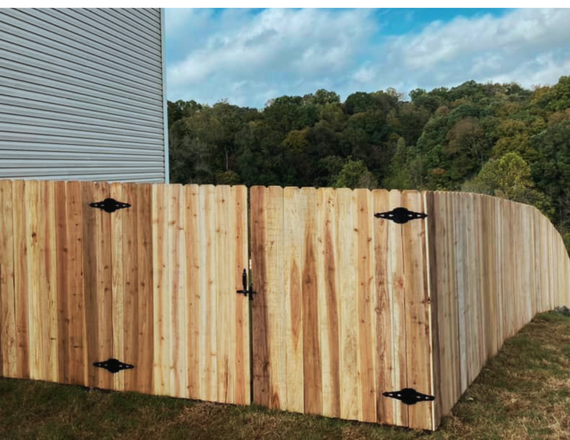 DisneyReed Fences (12).png