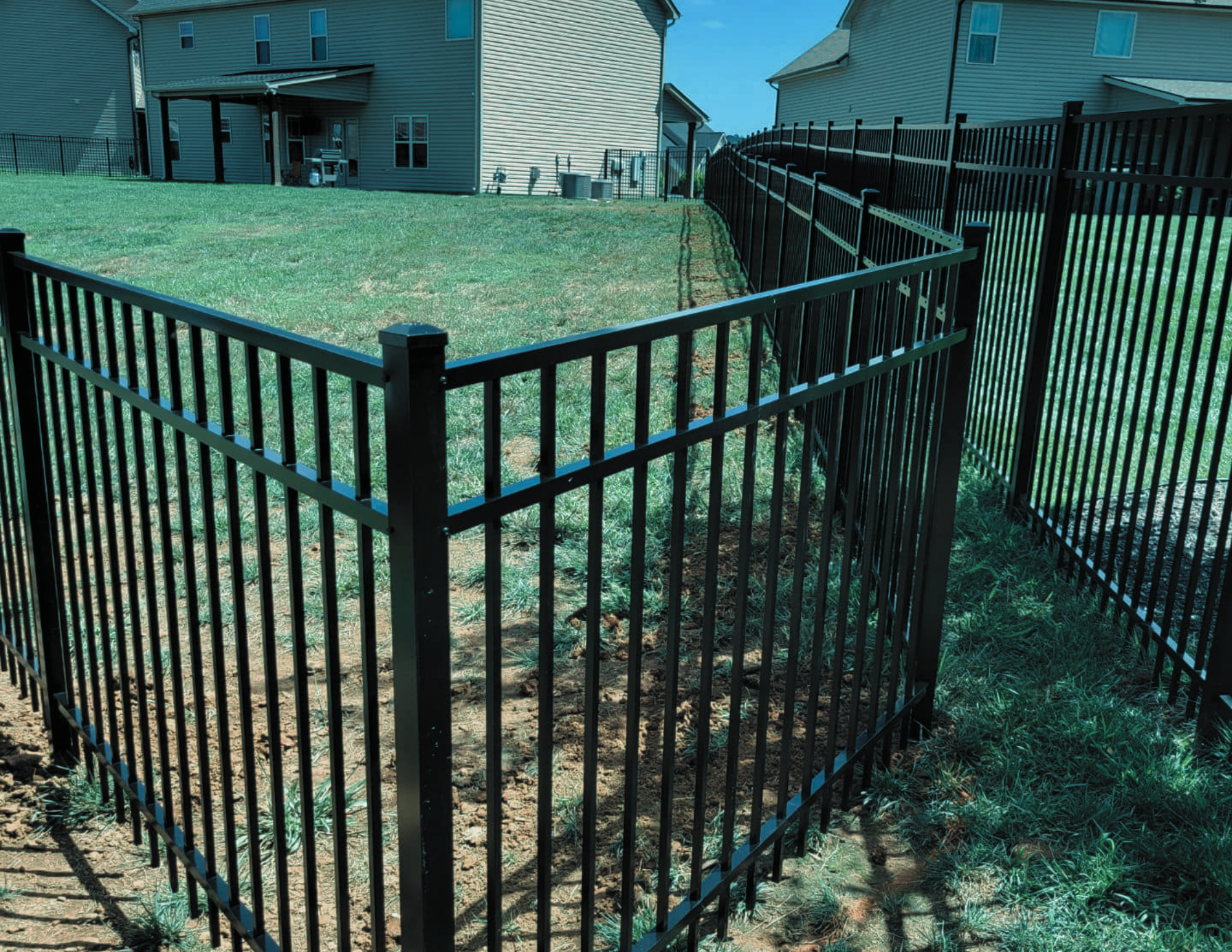 DisneyReed Fences (1).png