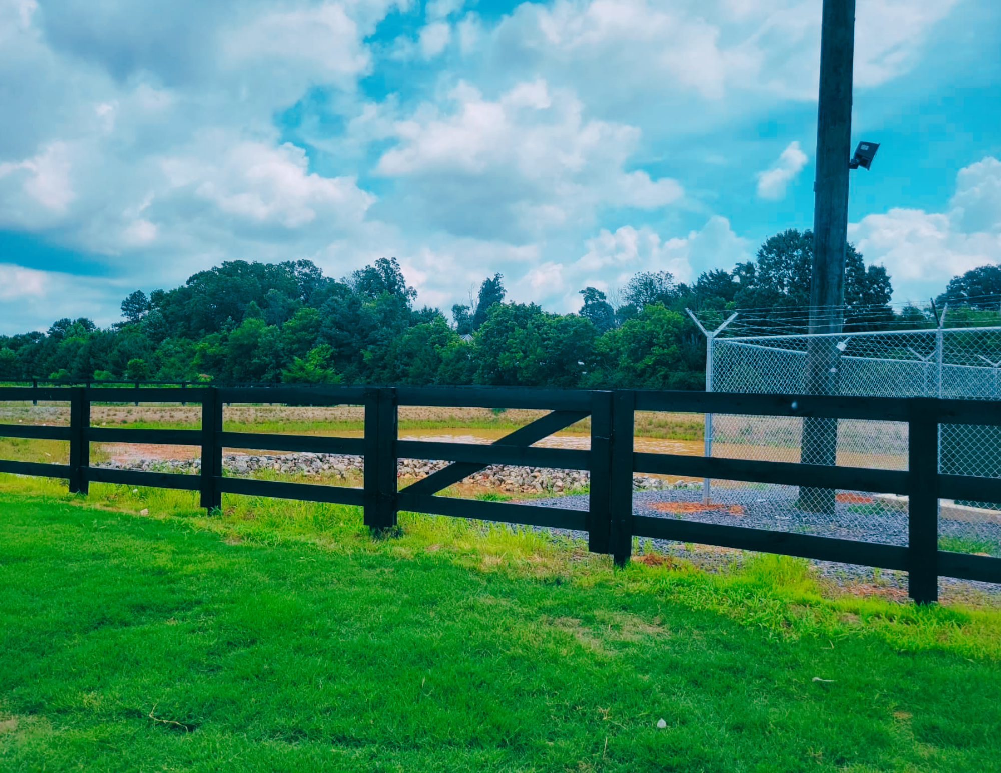 DisneyReed Fences (8).png