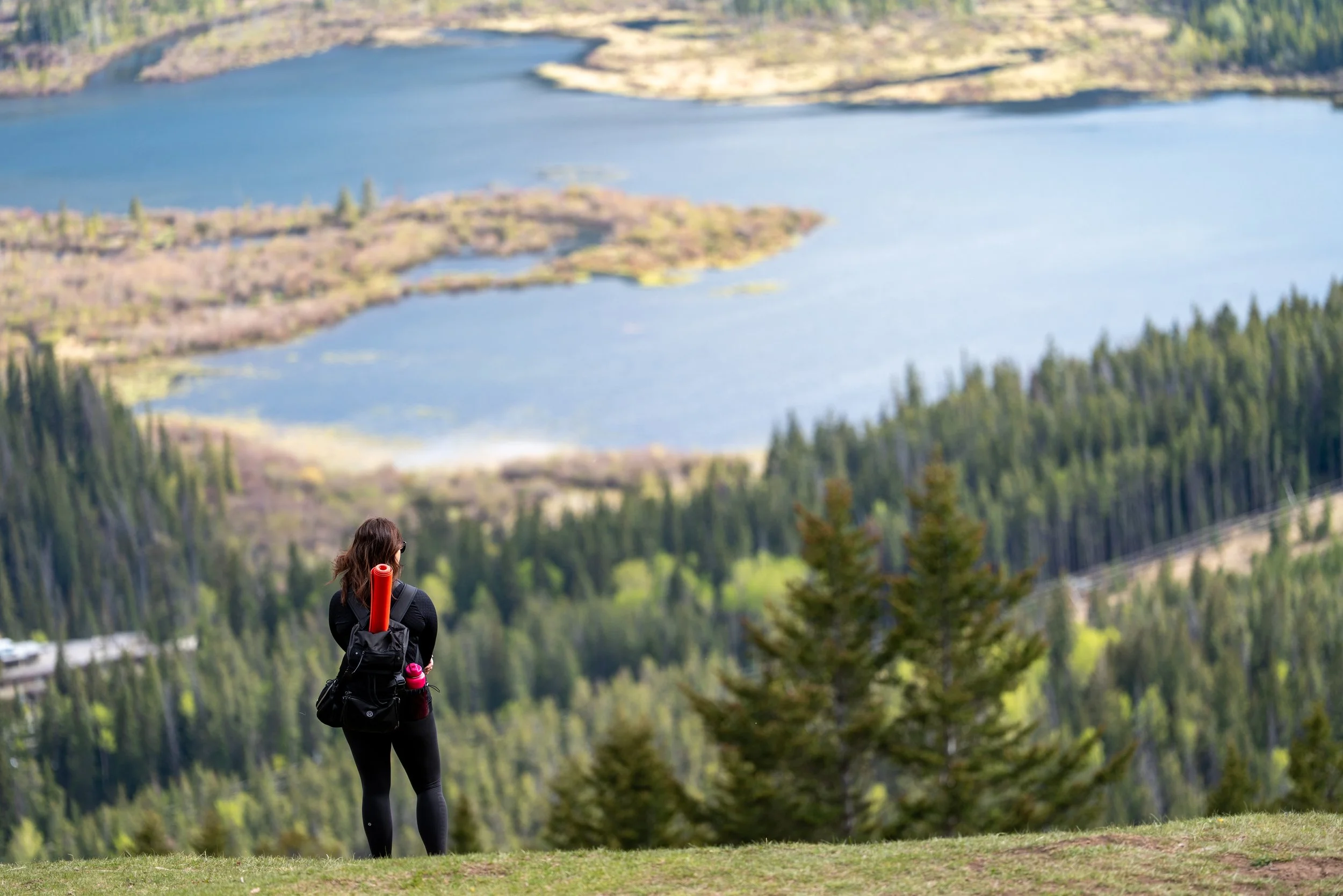 Person overlooking mountain lakes and forest valley landscape from a scenic hilltop viewpoint