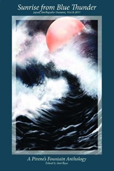 Book cover titled 'Sunrise from Blue Thunder', featuring a pink sun, turbulent ocean waves, and clouds, with a blue border.