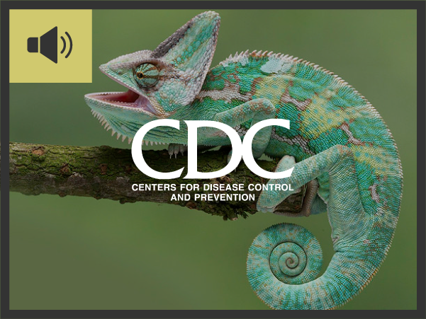 CDC: Salmonella Infections Caused by Reptiles and Amphibians in Childcare Centers