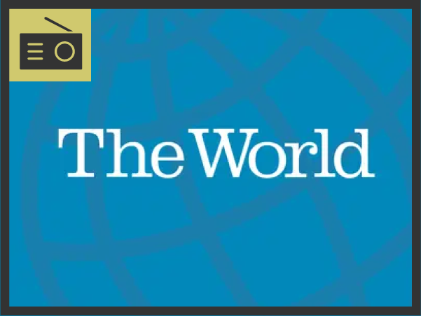 The World: New investigation reveals rising risk of bat-borne diseases