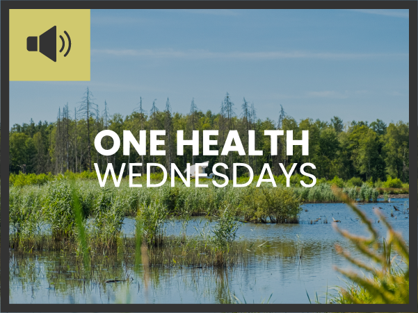 One Health Wednesdays: Wear a spacesuit and chase dangerous diseases.