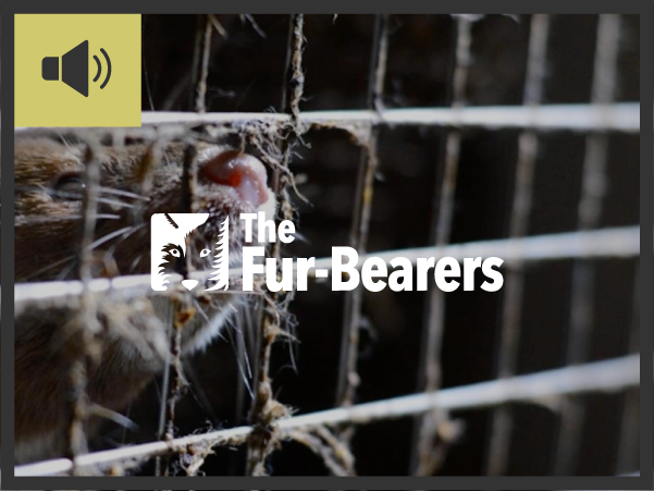 The Fur-Bearers: Fur Farming and the Next Pandemic featuring Dr. Neil Vora