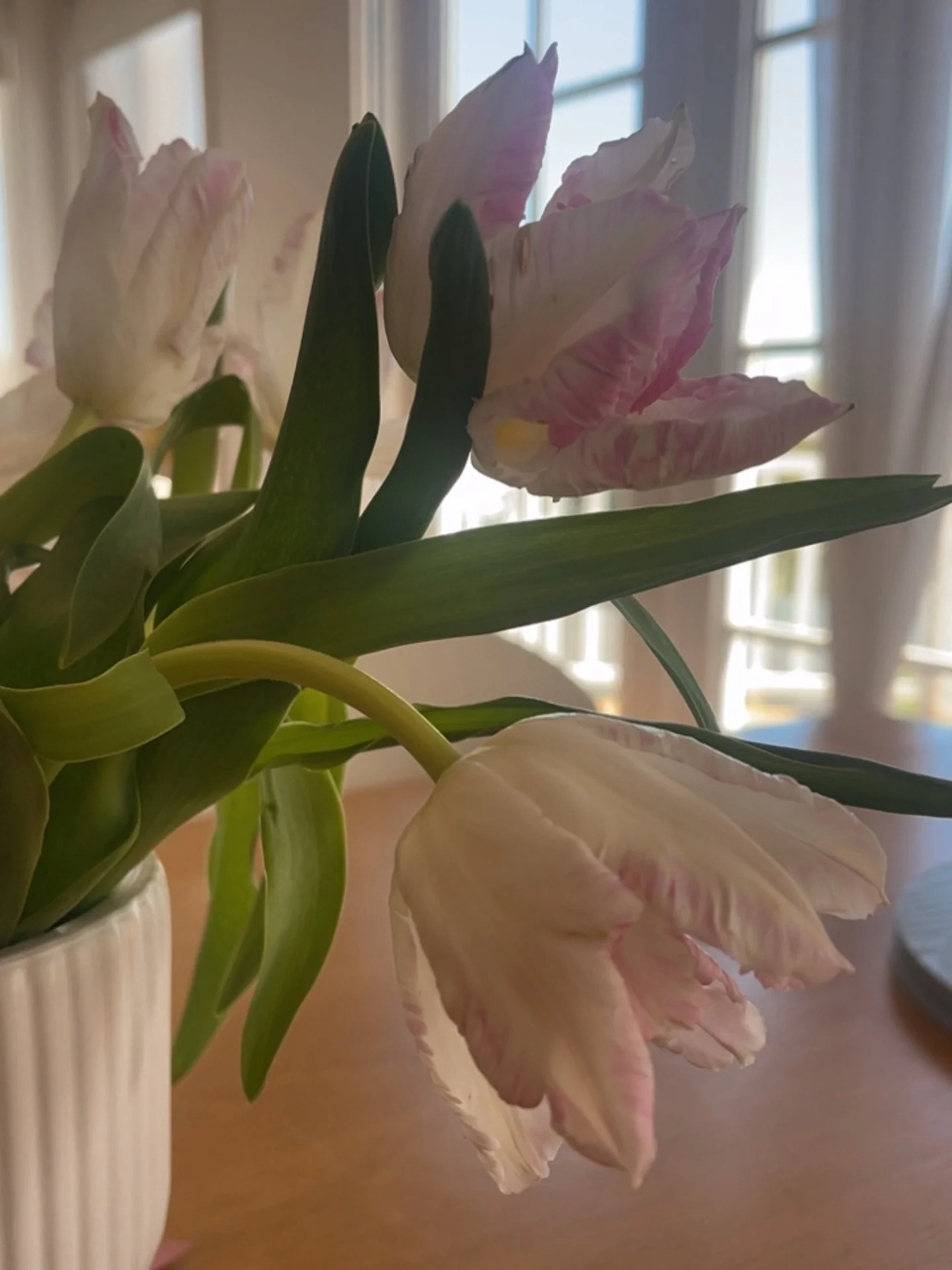 Dancing tulips for the table this week 🌷 

#tableflorals #tablecenterpiece #freshflowers #cardiffsouthflorist #lakemacquarieflorist #newcastleflorist