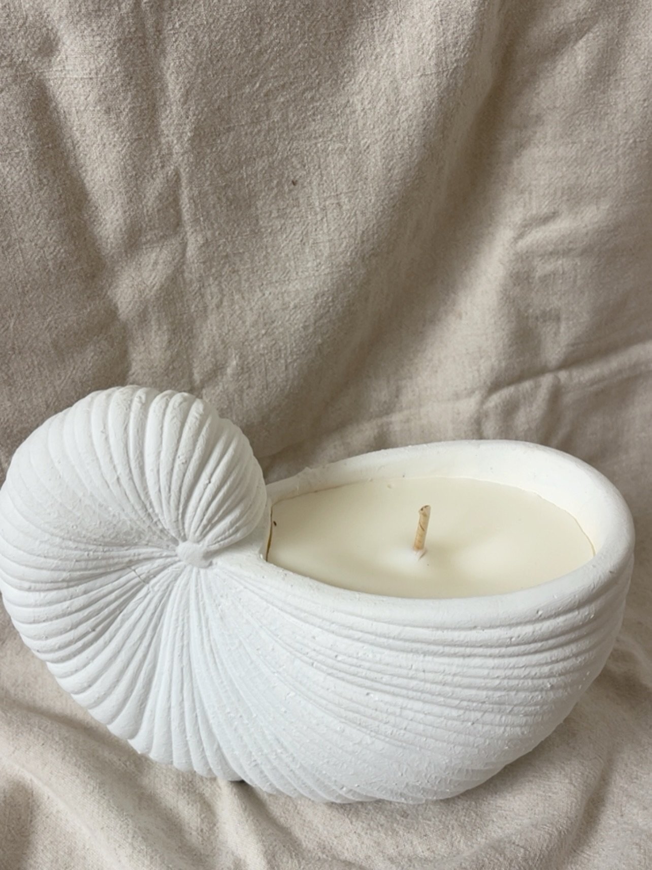 🐚 Soy shell candles have just been added to the website. 

Makes for a beautiful gift added onto your florals or to keep yourself. 

Made in a ceramic sea shell that you can use long after the candles burned. 

Comes beautifully gift boxed ready for