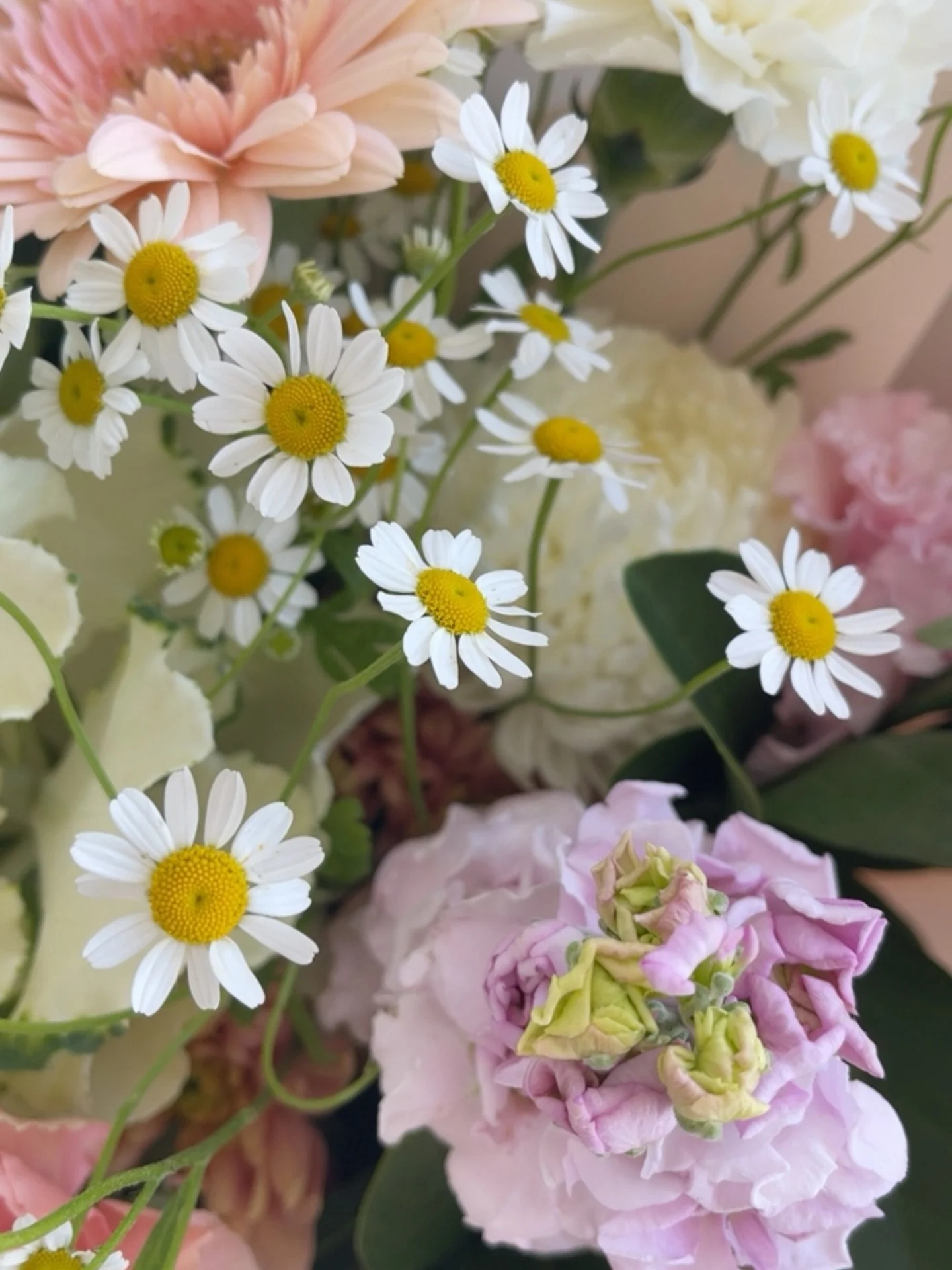Happy Fleursday 🌸 

Hope your coffee is warm &amp; you get to laugh today 🤍