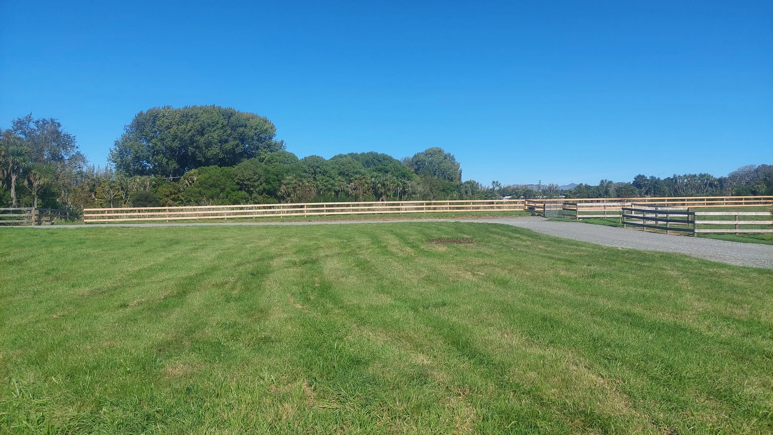 Open green grassy field with a wooden fence and a gravel pathway, bunch of trees in the distance, clear blue sky.