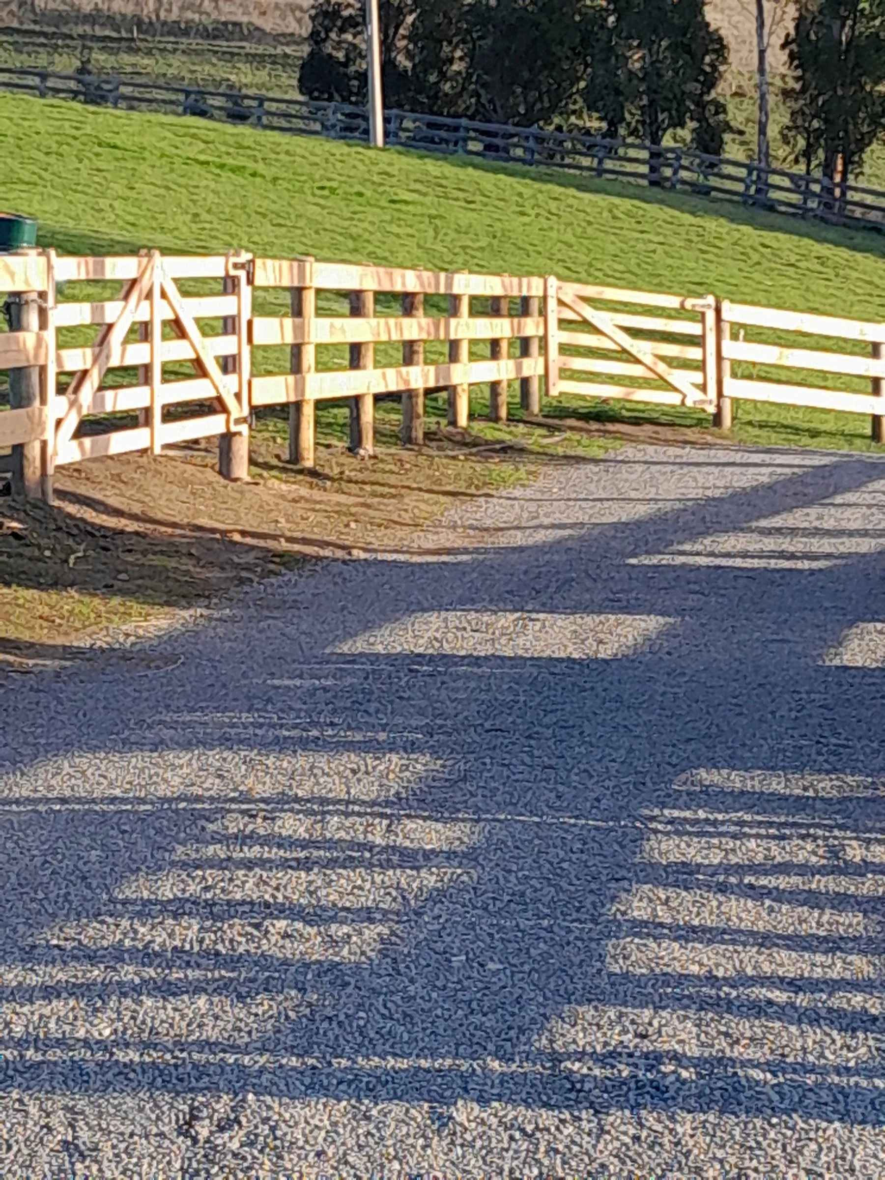 A wooden fence with a gate borders a gravel driveway, with a grassy hill and trees in the background, casting long shadows on the ground.