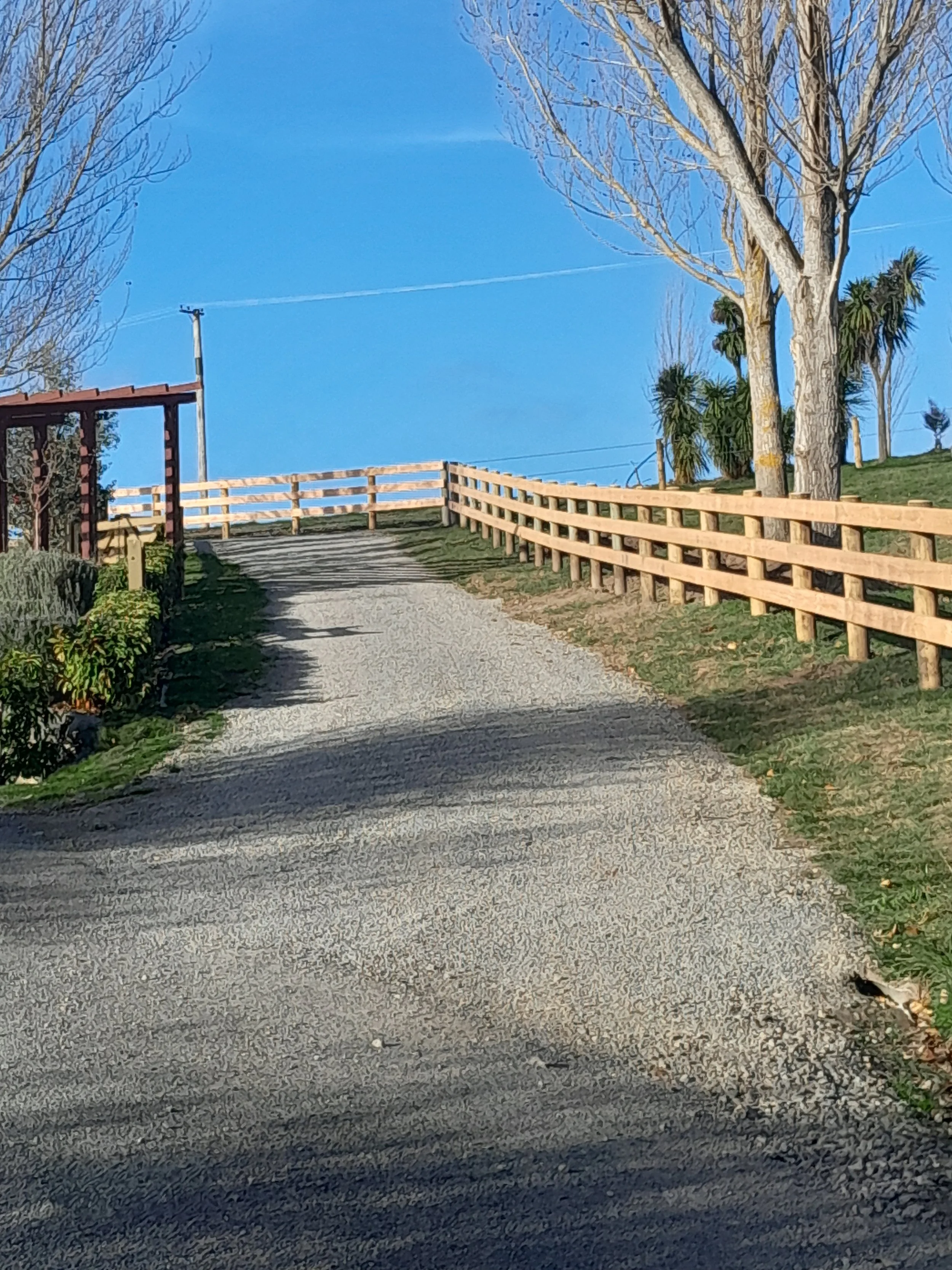 A gravel path with a wooden fence on both sides, leafless trees, and a clear blue sky.