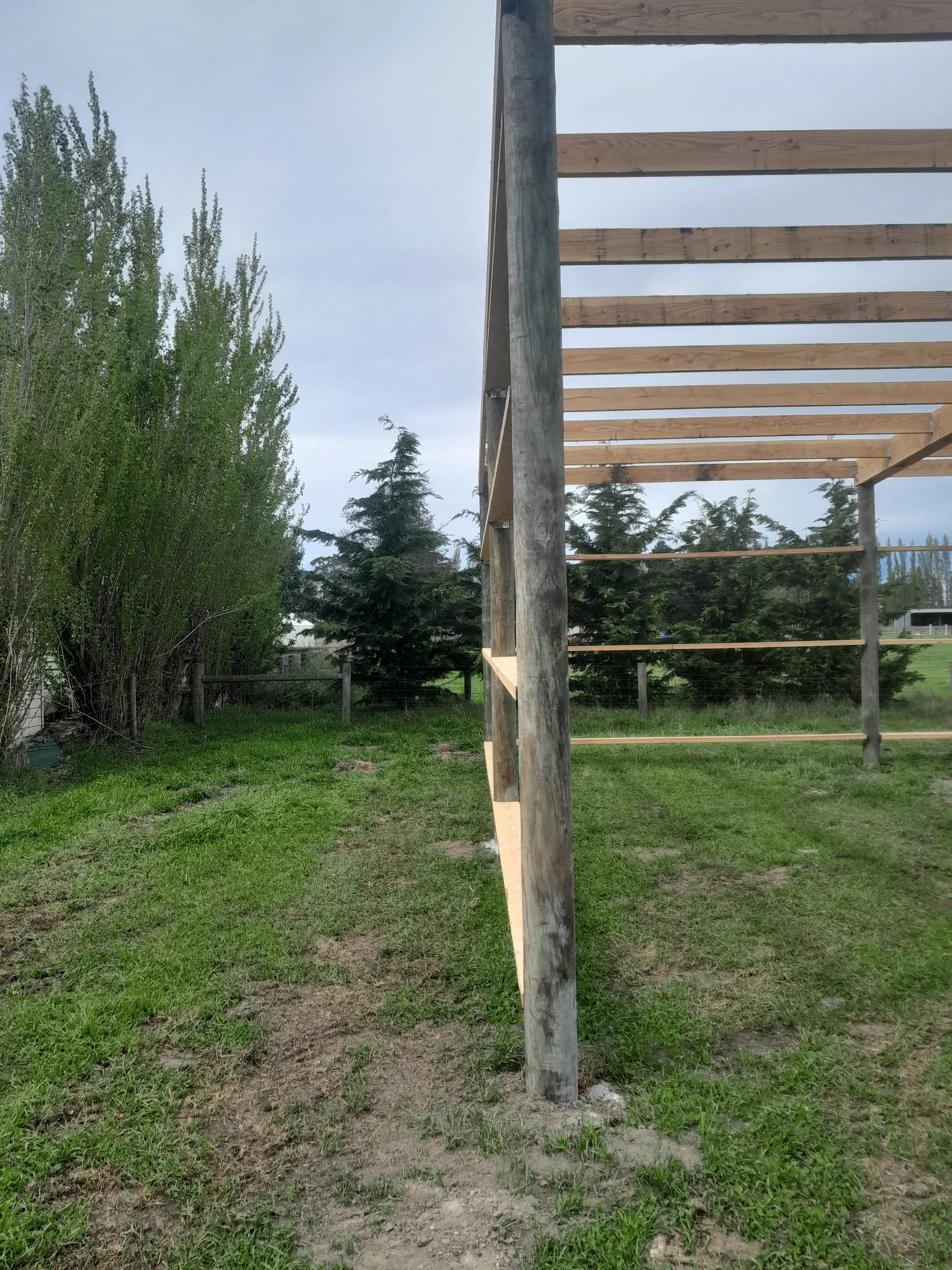 Partially built wooden structure in a backyard with green grass and trees in the background.