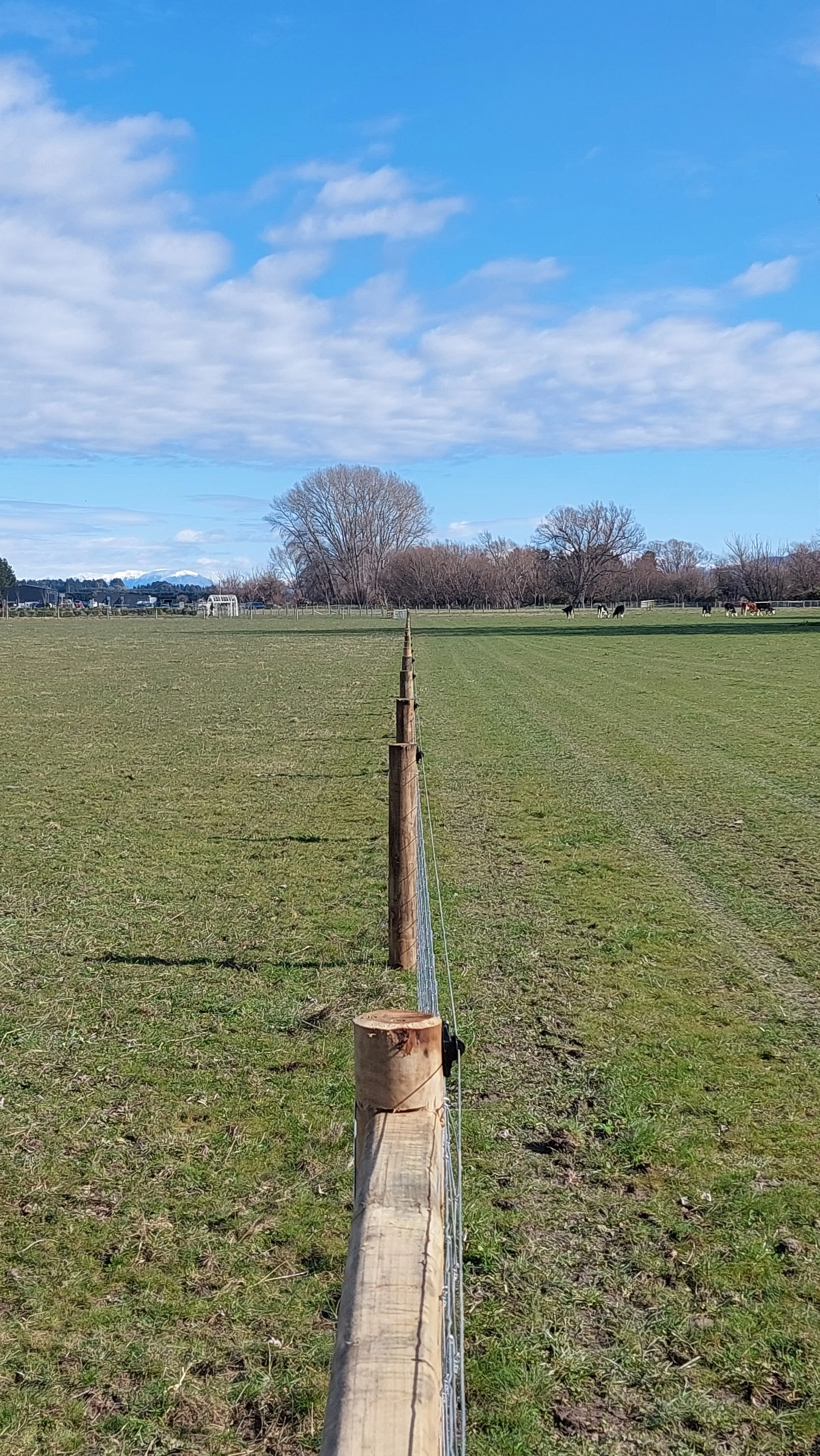 A grassy field with a wooden and wire fence that extends toward the horizon, with trees and horses in the distance under a partly cloudy blue sky.