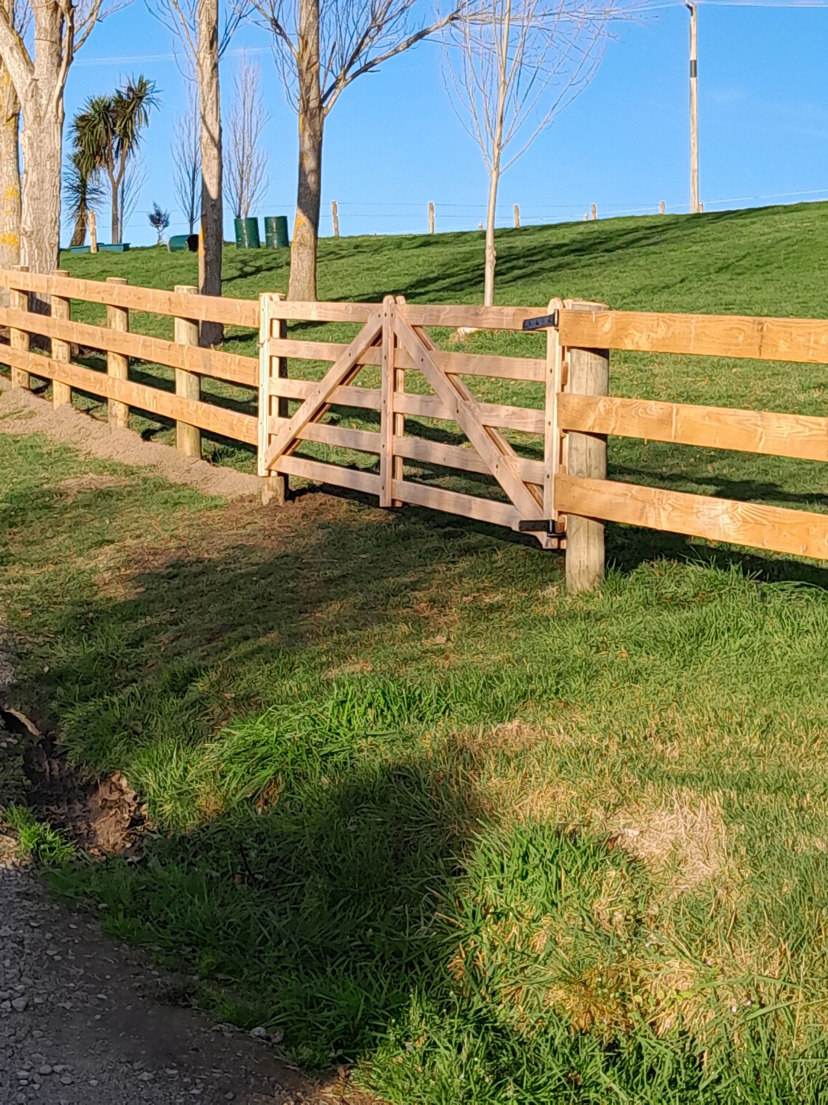 Wooden fence with a small gate, grassy area, trees, and blue sky