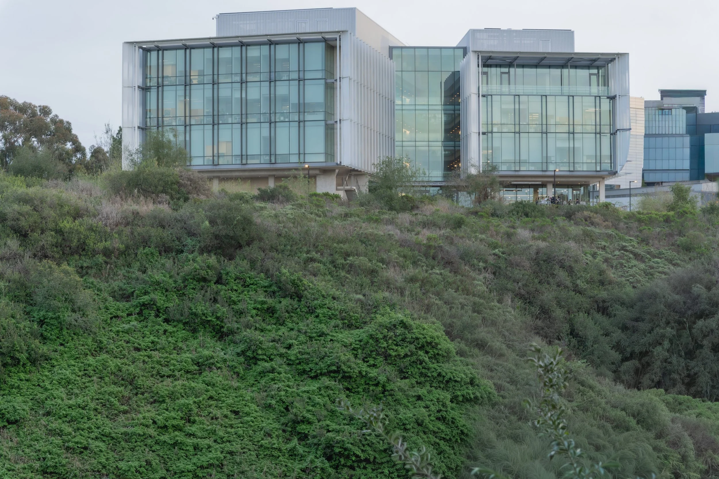 UCSD Franklin Antonio North View