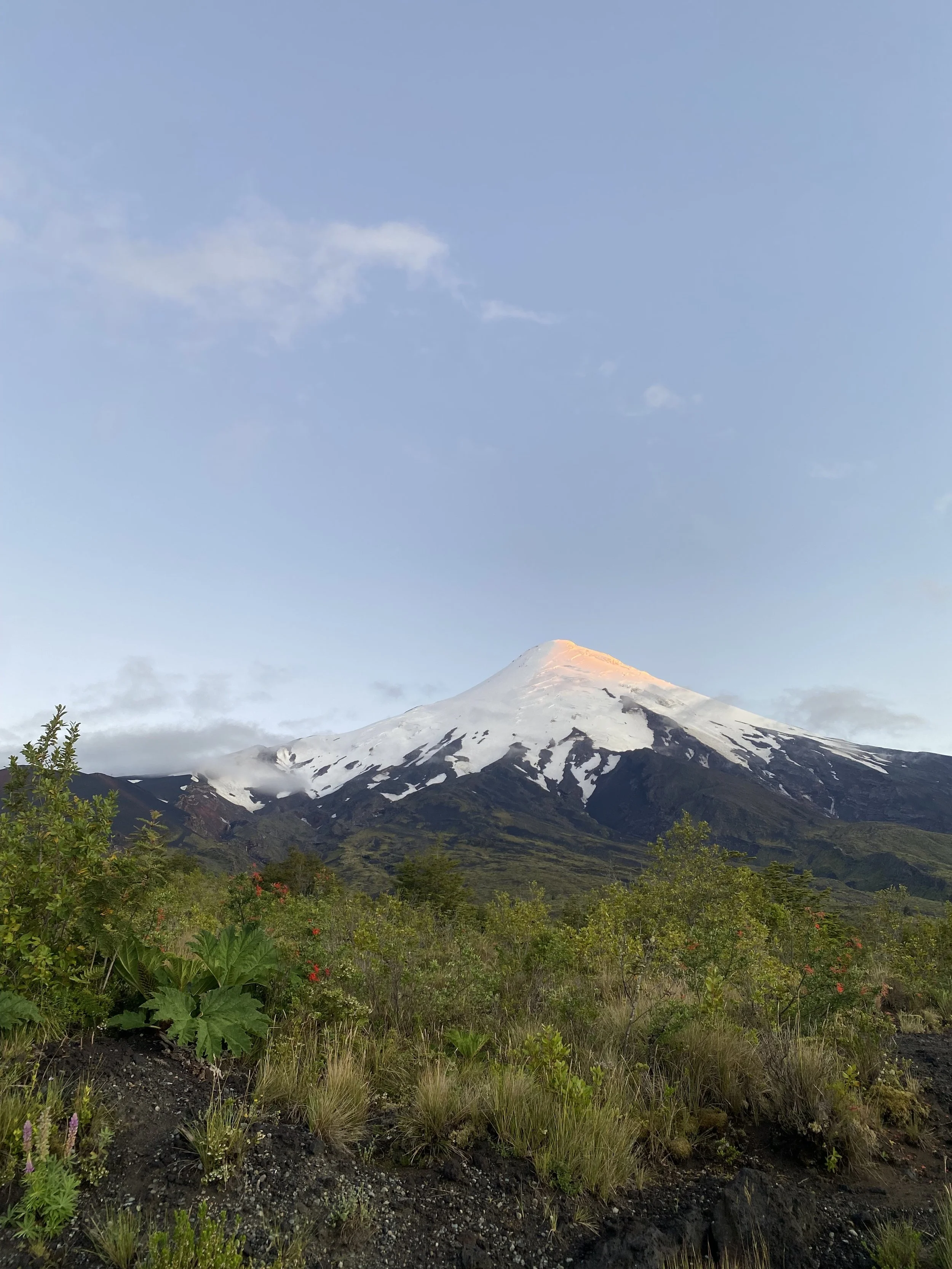 IMG_7567.jpeg