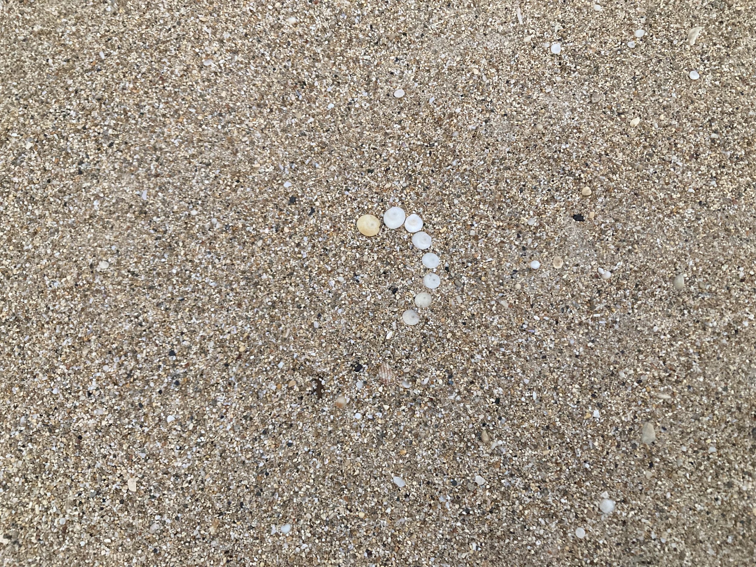 IMG_0798.jpeg