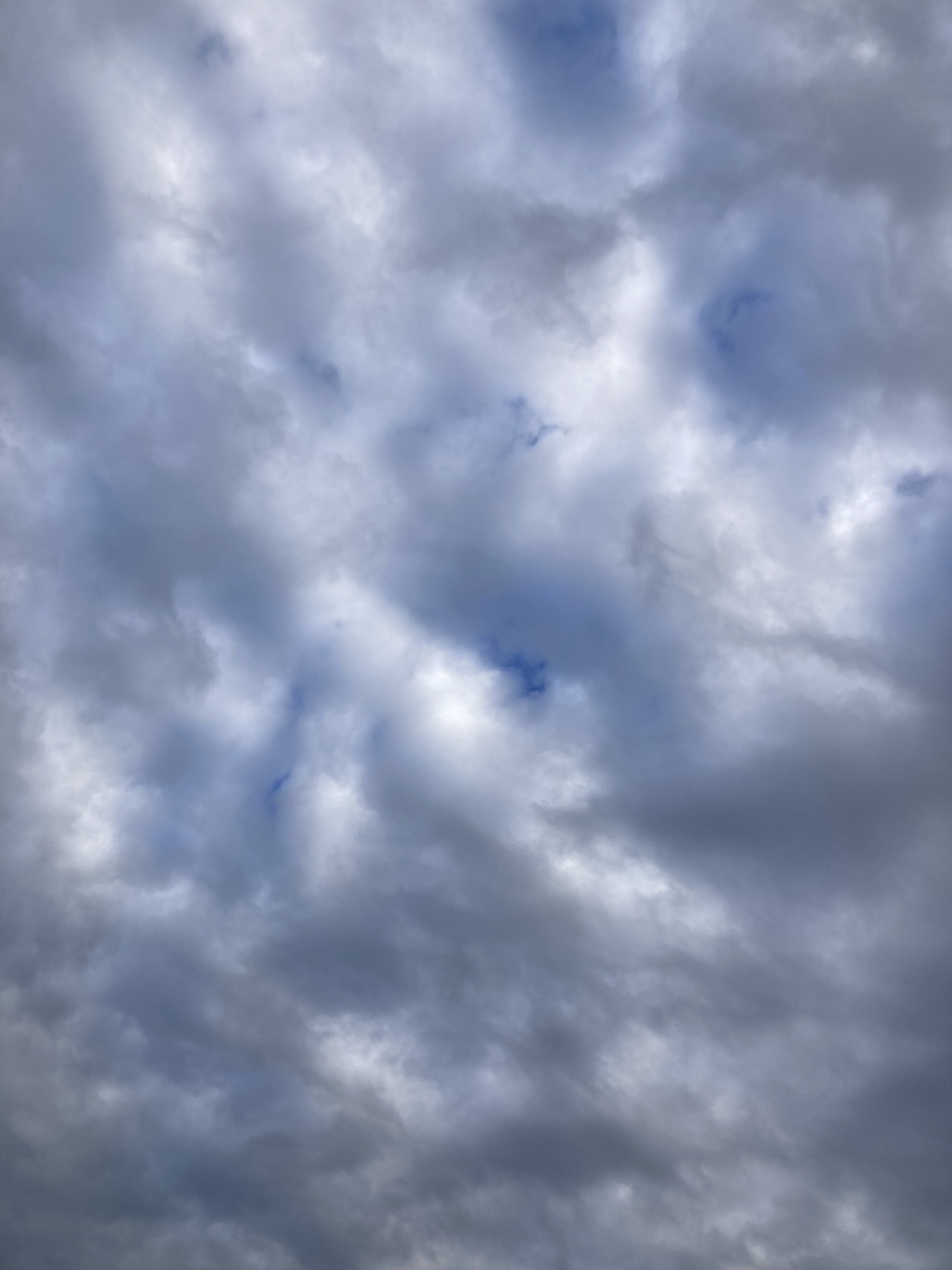 IMG_0257.jpeg