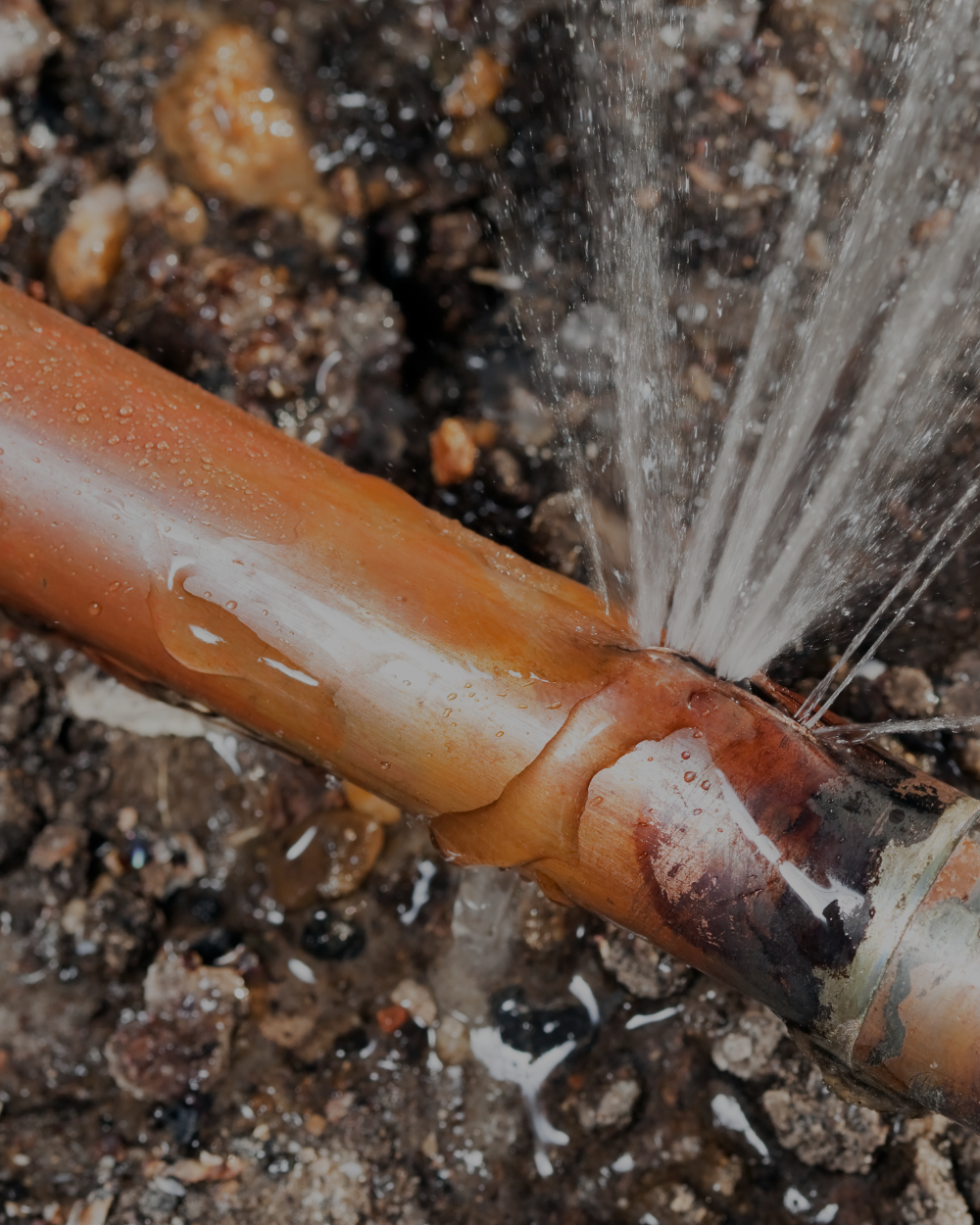 Close-up of a broken bamboo pipe with water flowing out, surrounded by rocks and dirt.