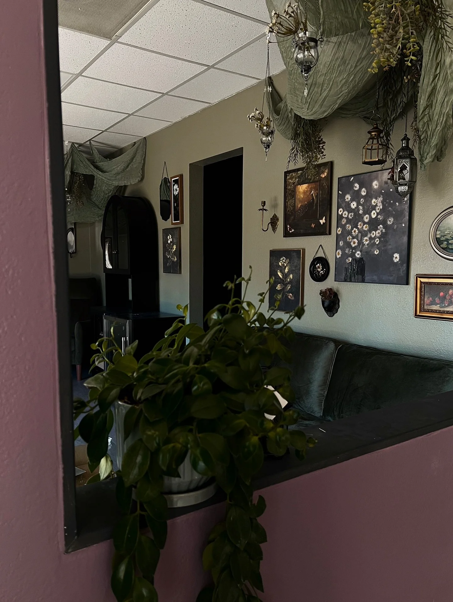 our new front lobby is looking whimsical ☆🌿
but there&rsquo;s much left to do!💧🎨🧱🔨
#tucsonsalon #altsalon