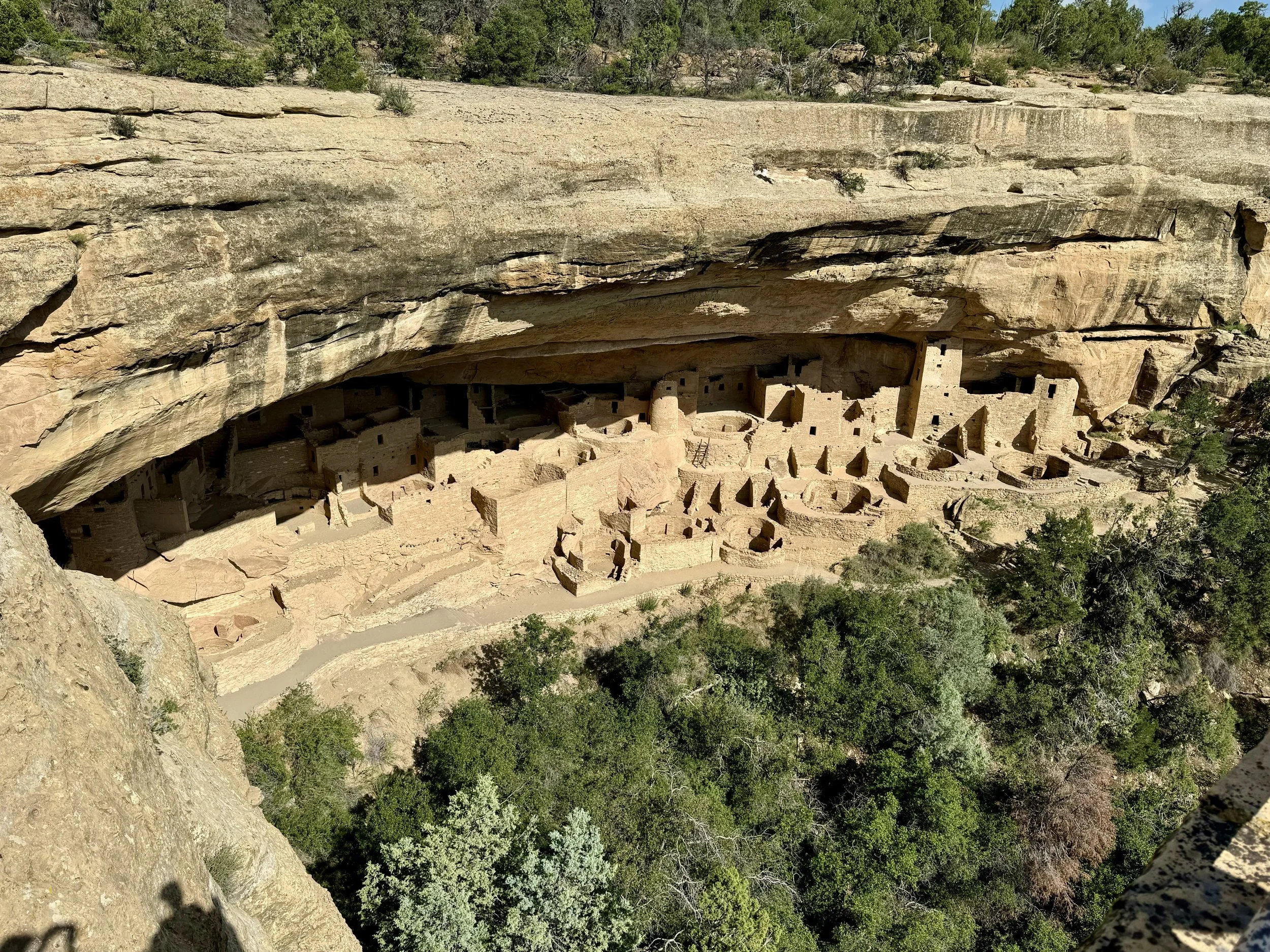 Ancient cliff dwelling built into a large overhanging rock formation, surrounded by green trees.