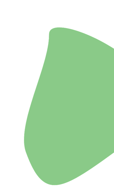 A close-up of a green bell pepper