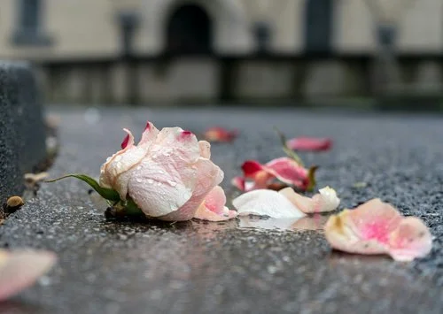 How to Cope with a Surrogacy Pregnancy Loss, from the IP Perspective
